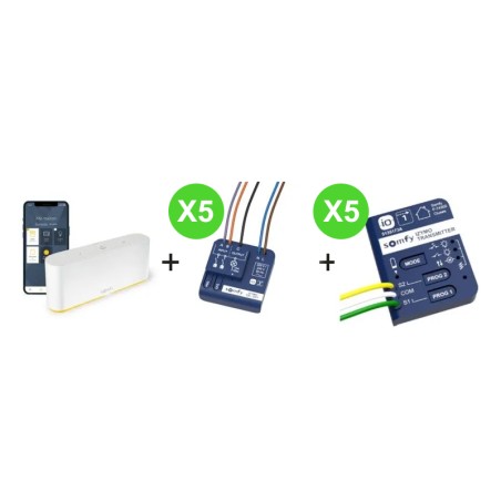 Kit TaHoma 1 box Somfy 1870594 + 5 émetteurs 1822609 + 5 récepteurs On/Off 1822649