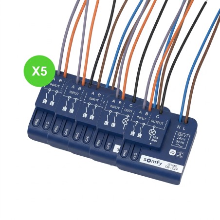 Micro-récepteur On/Off IZYMO io 1 canal 10A 230V lot de 5 pièces
