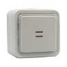 Interrupteur ou va-et-vient lumineux étanche Plexo Saillie IP55 250V blanc