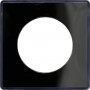 SCHNEIDER S540902Z (F) Plaque, Noir support Anthracite, 1 poste, Odace